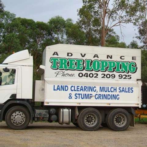 Photo: Advance Tree Lopping Photo: Advance Tree Lopping